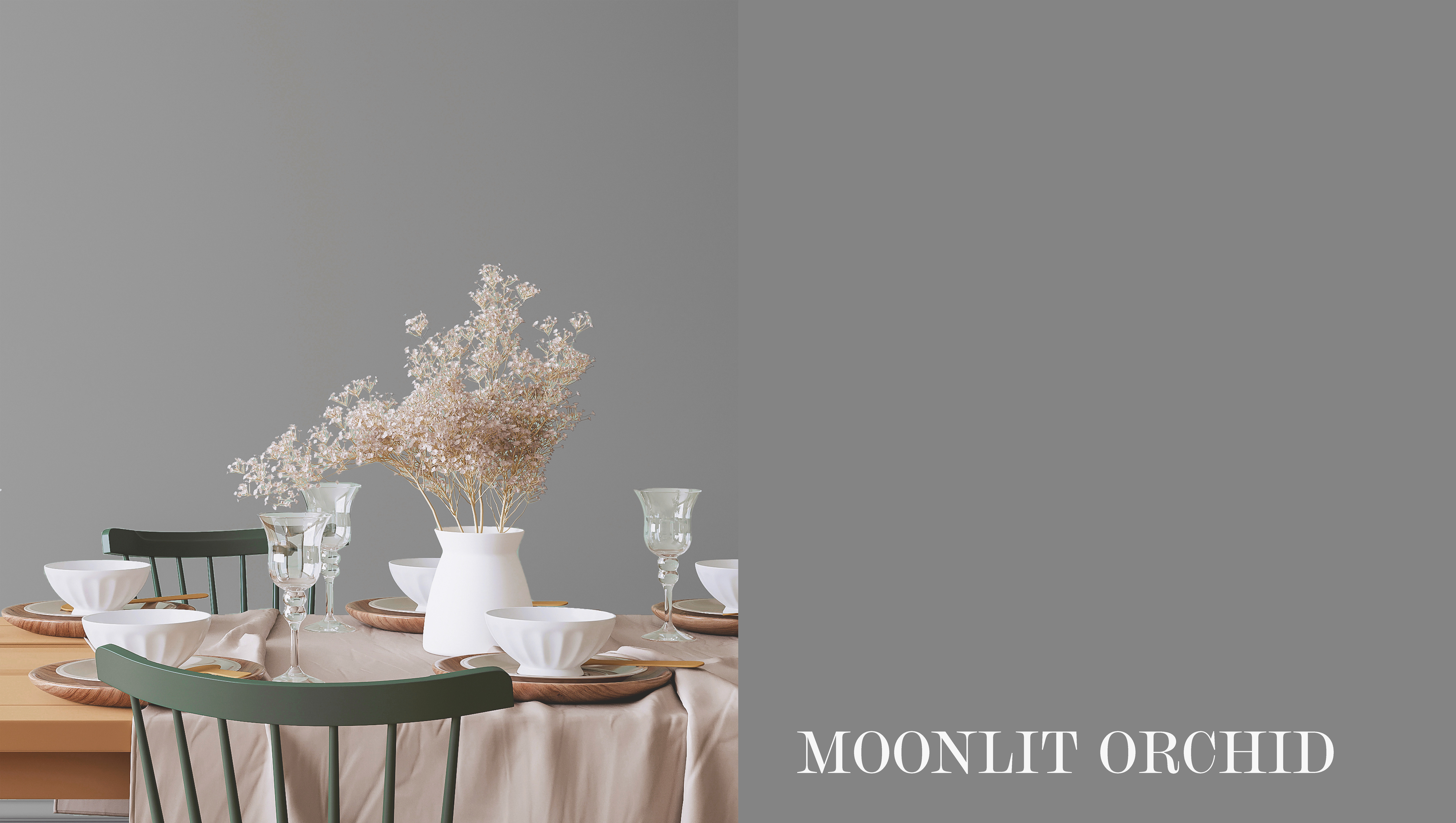 Moonlit Orchid Ny 2025.jpg